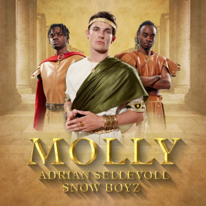 ดาวน์โหลดและฟังเพลง Molly (Explicit) พร้อมเนื้อเพลงจาก Adrian Sellevoll