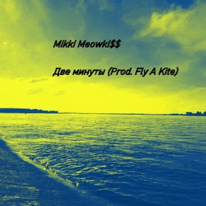 Listen to Две минуты(Slow Version) song with lyrics from Mikki Meowki$$