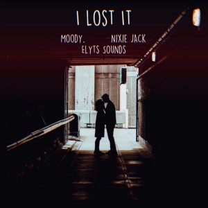 Album I Lost It (Remix) from moody.