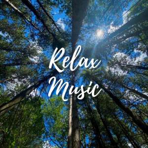 Peaceful Relaxation的專輯Music to put you in a better mood