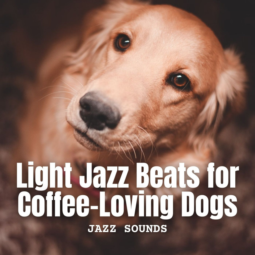 Coffee Beans and Canine Jazz Grooves