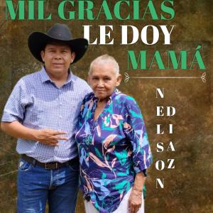 Nelson Diaz的專輯MIL GRACIAS LE DOY MAMA (Radio Edit)