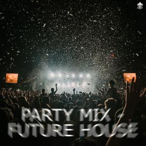 Album Party Mix - Future House from Various