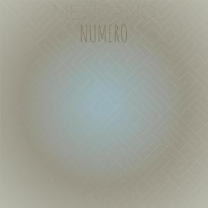 Various Artists的專輯Mexicano Numero