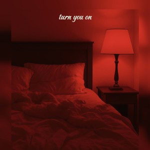Album TURN YOU ON from Tray