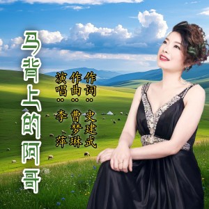Album 马背上的阿哥 from 史建武
