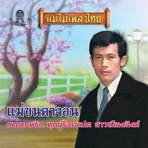 收听ชาย เมืองสิงห์的นกกระยาง歌词歌曲