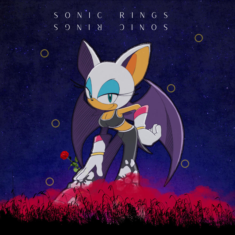 Sonic Rings (Explicit)