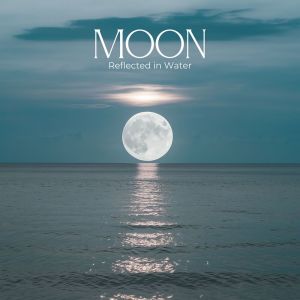 收聽Moonlight Shadow Universe的Deep Clarity歌詞歌曲