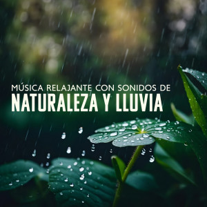 Album Música Relajante con Sonidos de Naturaleza y Lluvia (Sueño Profundo) from Área de relajación