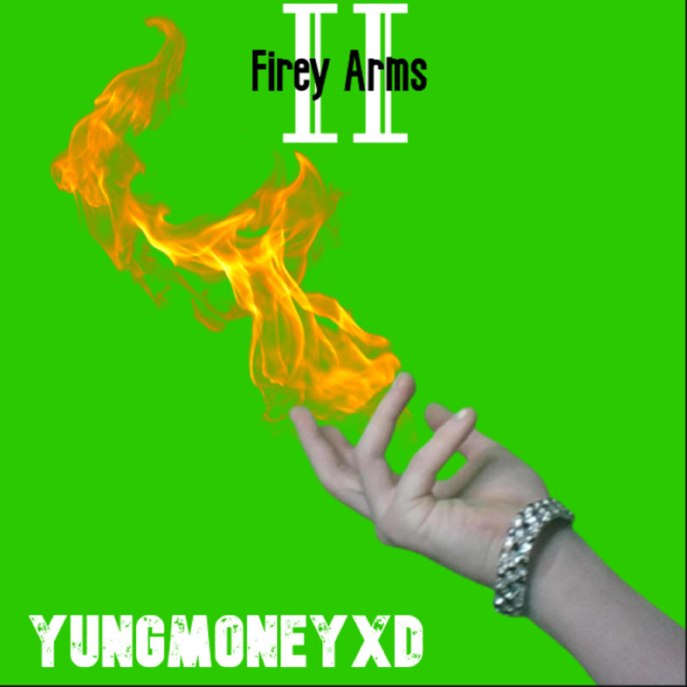 THE FIT (BONUS TRACK) (feat. MEG MATE) (Explicit)