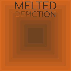 Various Artists的專輯Melted Depiction