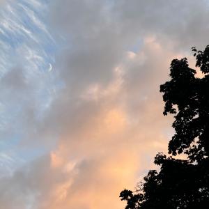 收聽Daniel Steinfels的Echolot im Sommer歌詞歌曲