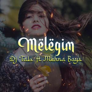 Album MELEGIM from DJ Tab