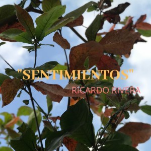 收听Ricardo Rivera的Sentimientos歌词歌曲