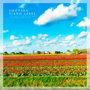 Listen to Flower Road song with lyrics from Andantino