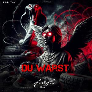 BroyS的專輯Du warst (Explicit)