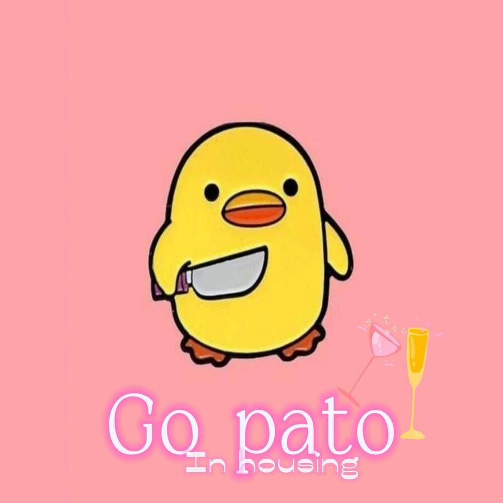GO PATO IN HOUSING (Radio Edit)