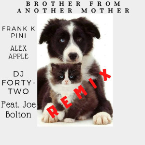 ดาวน์โหลดและฟังเพลง Brother from Another Mother (Frank K Pini Radio Edit Remix) พร้อมเนื้อเพลงจาก Alex Apple