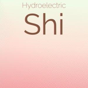 Various Artists的專輯Hydroelectric Shi