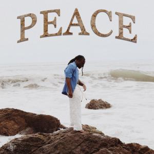 收聽Skillies的Peace歌詞歌曲