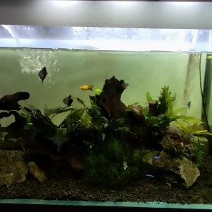 ดาวน์โหลดและฟังเพลง Suara Air พร้อมเนื้อเพลงจาก S O N