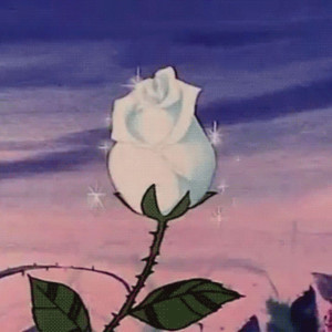 收聽Morales的Bloom歌詞歌曲