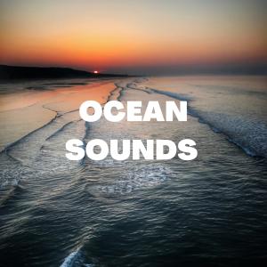 收听Ocean Sea Waves的At The Shore歌词歌曲