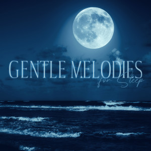 Album Gentle Melodies for Sleep - Jazz Lullabies for Little One oleh Stress Reducing Music Zone