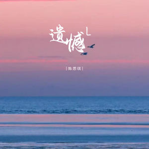 Listen to 遗憾L song with lyrics from 陈思琪