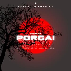 Album PORCAI (Explicit) from Erenity