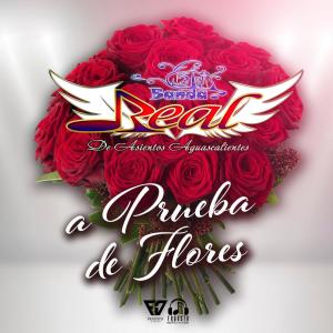 Banda Real De Asientos的專輯a prueba de flores