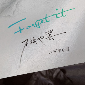 收听小贤的不提也罢 (DJ阿鹏国语版伴奏)歌词歌曲