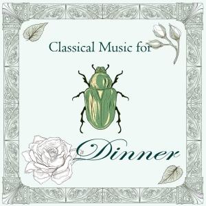 ดาวน์โหลดและฟังเพลง Nocturne in E flat major op. 9 no. 2 Solo Piano（Chopin） พร้อมเนื้อเพลงจาก Shockwave-Sound