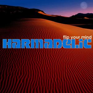 Karmadelic的專輯Flip Your Mind