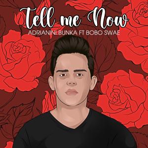 ดาวน์โหลดและฟังเพลง Tell me now (feat. Bobo Swae) พร้อมเนื้อเพลงจาก Adrianini Bunka