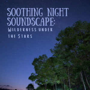 Soothing Night Soundscape: Wilderness under the Stars