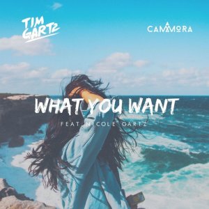 ดาวน์โหลดและฟังเพลง What You Want (feat. Nicole Gartz) พร้อมเนื้อเพลงจาก Tim Gartz