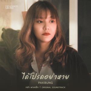 อัลบัม ได้โปรดอย่าหาย (Original Soundtrack From "กล้า ผาเหล็ก") ศิลปิน 