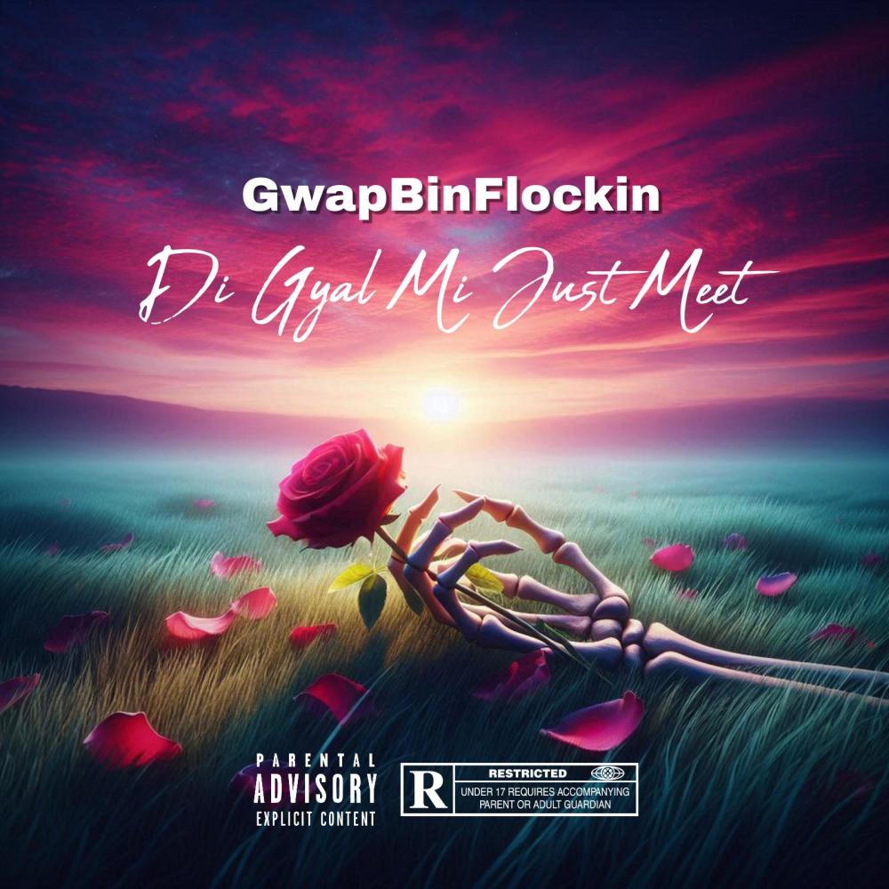 Di Gyal Mi Just Meet (Explicit)