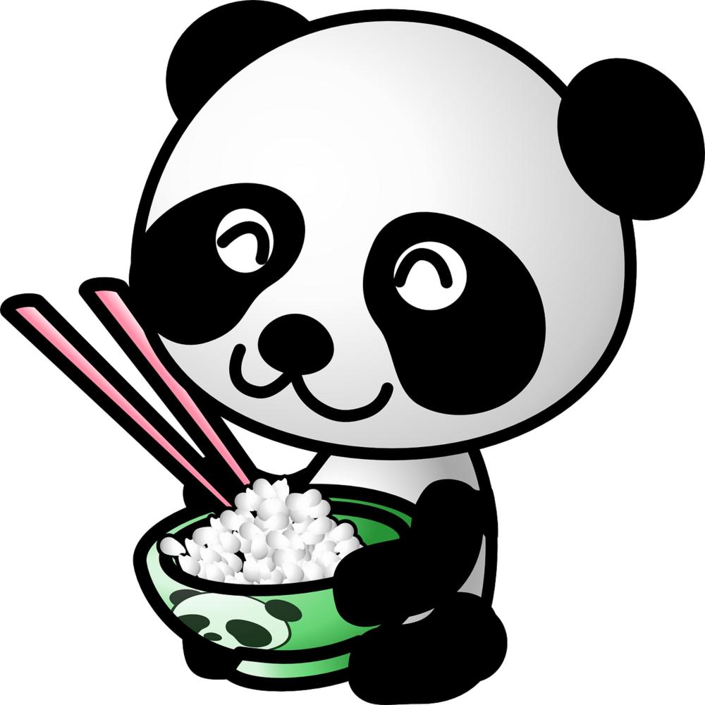The Giant PANDA