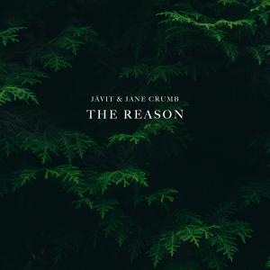 Album The Reason (feat. Jane Crumb) from 