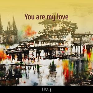 Ussy的專輯You Are My Love