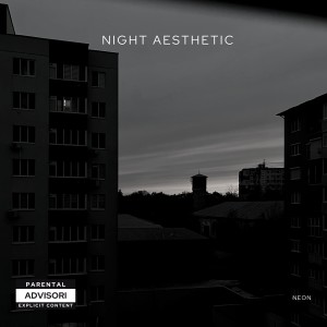 Album Night Aesthetic (Explicit) from Neon