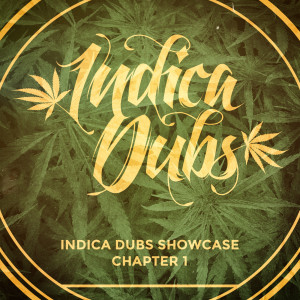 Listen to Dub Vibes song with lyrics from Indica Dubs