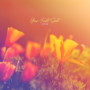 อัลบัม Your Faint Scent ศิลปิน Jieum