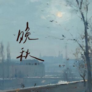 Album 晚秋（DJ版） from 