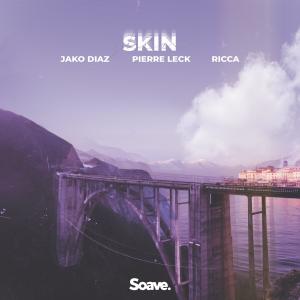 Album Skin from 