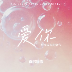 Album 爱你 from 真名有雪