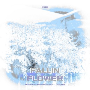 Listen to 舞い落ちる花びら（Fallin' Flower） (cover: 세븐틴) (完整版) song with lyrics from Wencci小可